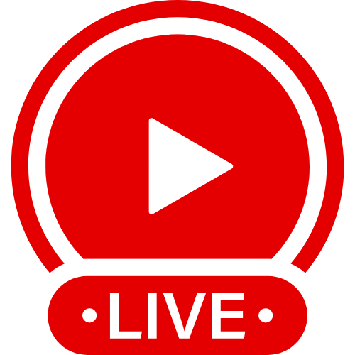 Is Lovense Worth It | Live Webcam Shows & Interactive Adult Entertainment